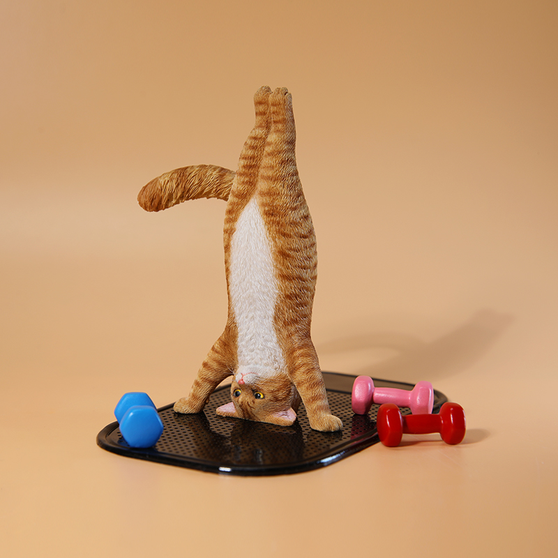 1/6 Ölçekli Mini Simüle Fitnes - Yoga In Fitness First incelemesi ve fiyatı